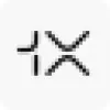 1X favicon