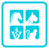 AcuroVet favicon