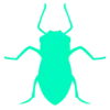 Aphid favicon