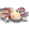 axTLS favicon