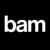 Bambuser favicon