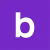 Baselance favicon