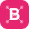 BellmanLoop favicon