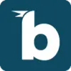Birdie.ai favicon