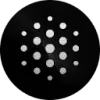 BLACKBOX favicon