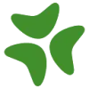 Bloomerang favicon