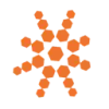 Bloomfire favicon