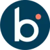 Boomi favicon