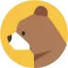 Brainybear favicon