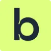 Briefer favicon