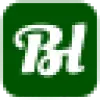 Budgetlite favicon