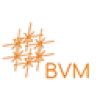 BVM favicon