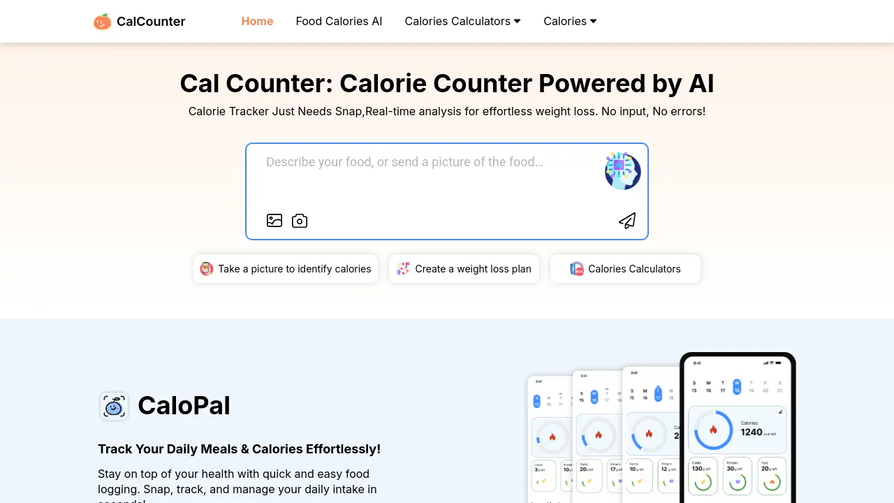 CalCounter