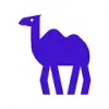 CAMEL AI favicon