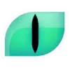 Cat's Eye favicon