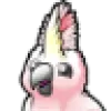 Cockatoo favicon