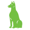 Coocoor favicon