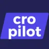 CroPilot favicon