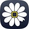 Daizy favicon