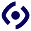 Dashmote favicon