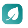 DigitalPharmacy.io favicon