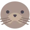 DocuSeal favicon