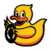 Duckietown favicon