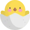 DuckyShot favicon