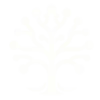 Elvar AI favicon