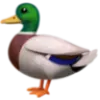 Ethereal favicon