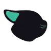 Flaneer favicon