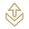 Formwise favicon