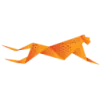 Frosmo favicon