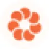 Fyorin favicon