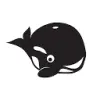 HeyOrca favicon