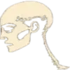 Humanizer AI Text favicon