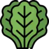 Kale.World favicon