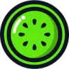 Kiwi Fitness favicon