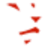 LionO360 favicon