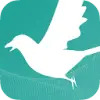 Magpie DBX favicon