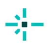 Netlify favicon