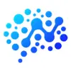 NimbleBrain favicon
