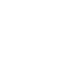 Nivan favicon