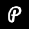 PageAudit favicon