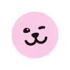 Pawp favicon