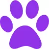 Pet Prints AI favicon