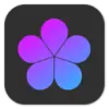 Phiewer favicon