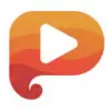 Pictley favicon