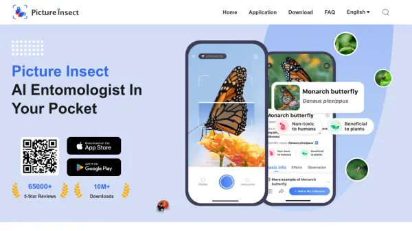 Picture Insect