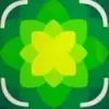 Plantility favicon